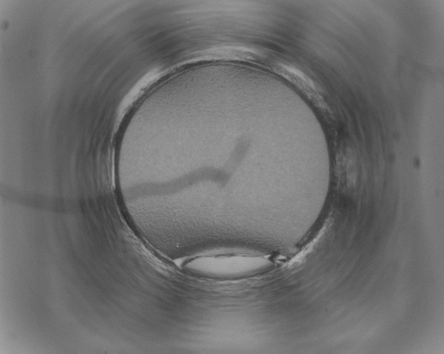 X0000076271180200610191732