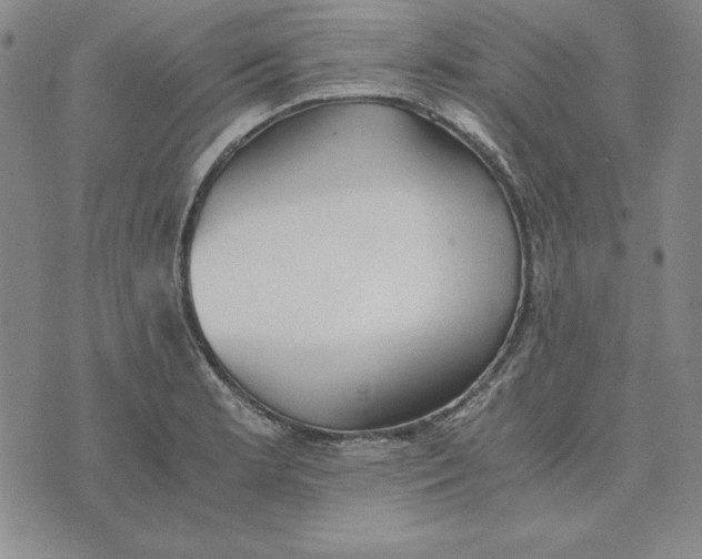 X0000076271181200610191732