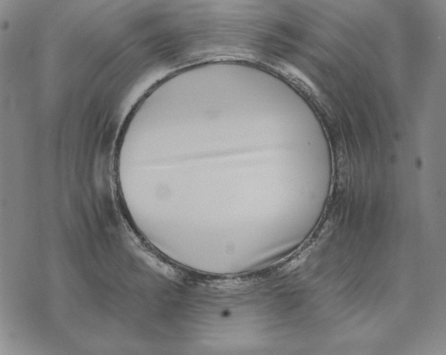 X0000076271182200610191732