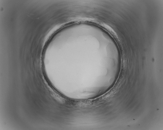 X0000076271183200610191732