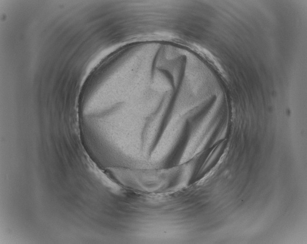 X0000076271184200610191732