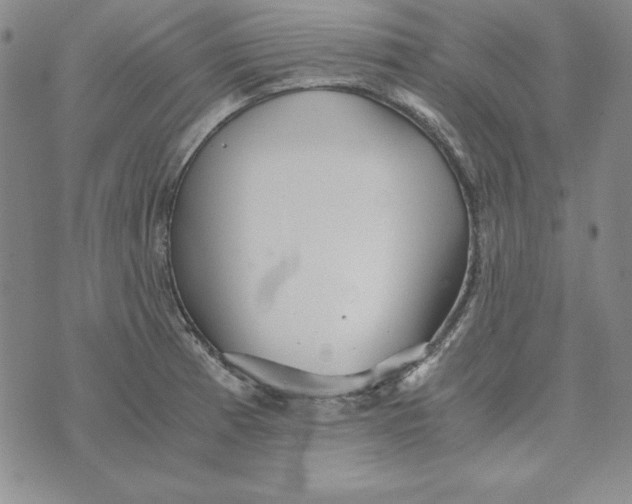 X0000076271185200610191732