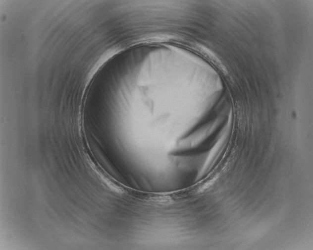 X0000076271186200610191732