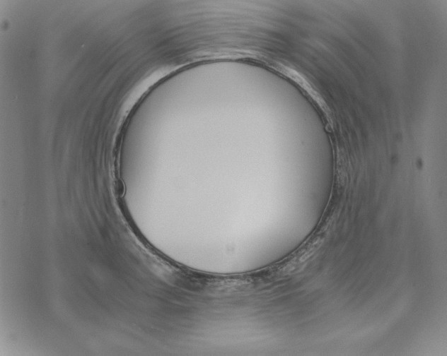 X0000076271187200610191732