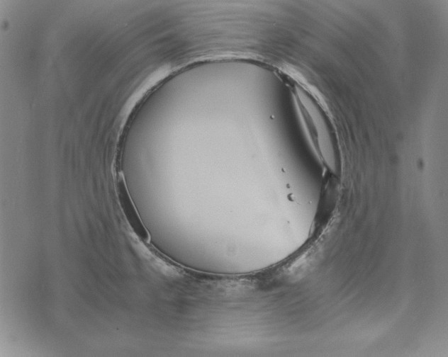 X0000076271189200610191732