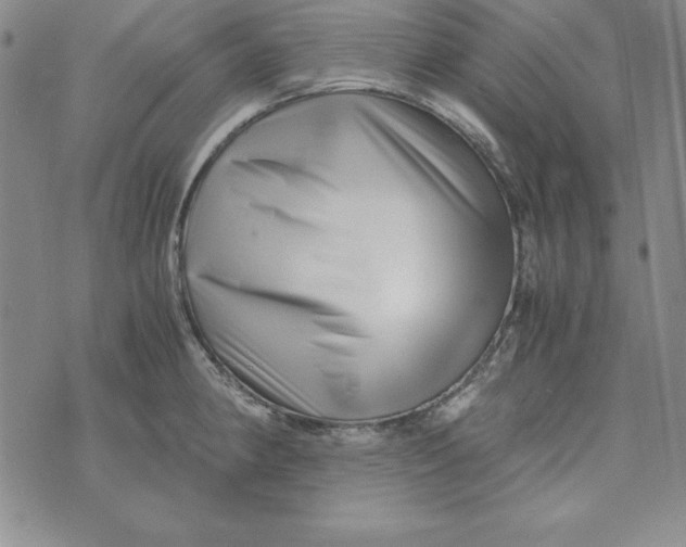 X0000076271190200610191732