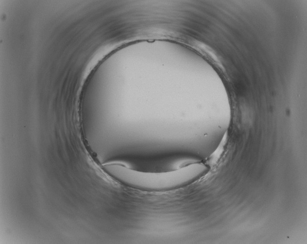 X0000076271192200610191731