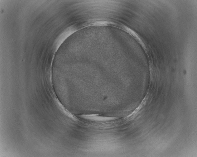 X0000076271194200610191731