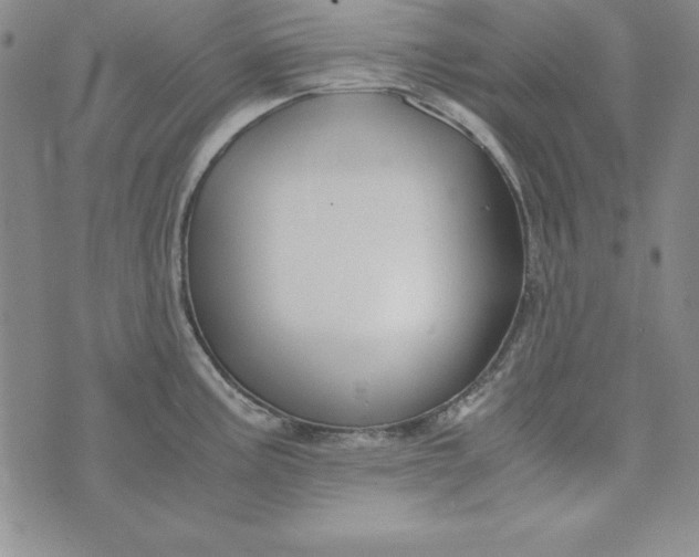 X0000076271195200610191731