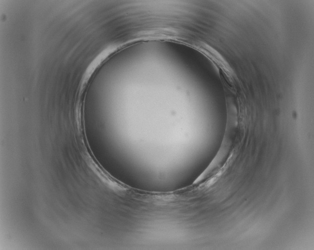 X0000076271196200610191731