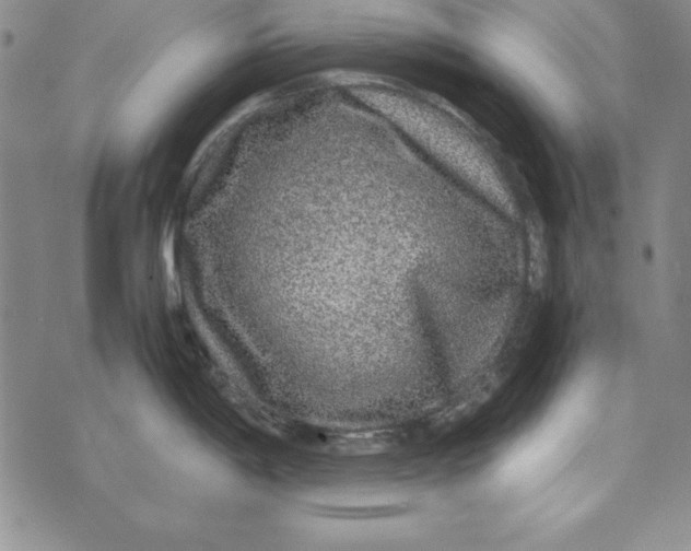 X0000076271198200610191731