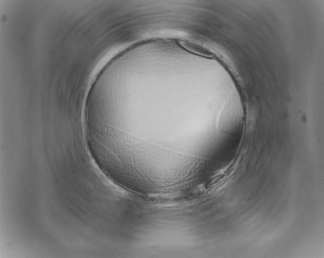 X0000076271199200610191731