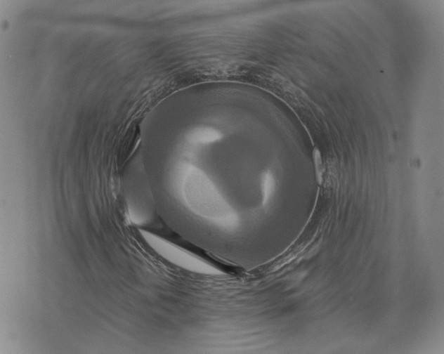 X0000076271202200610191731