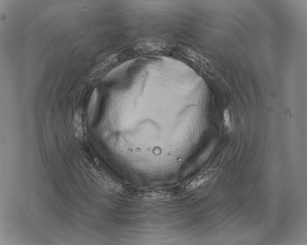 X0000076271203200610191731