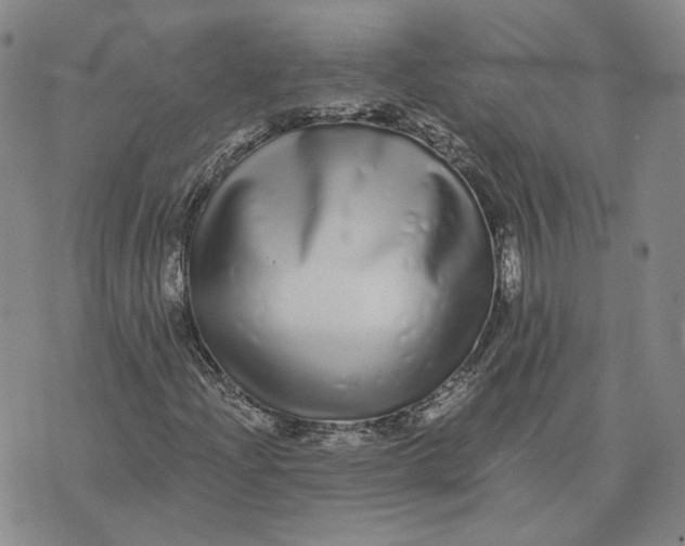 X0000076271204200610191731