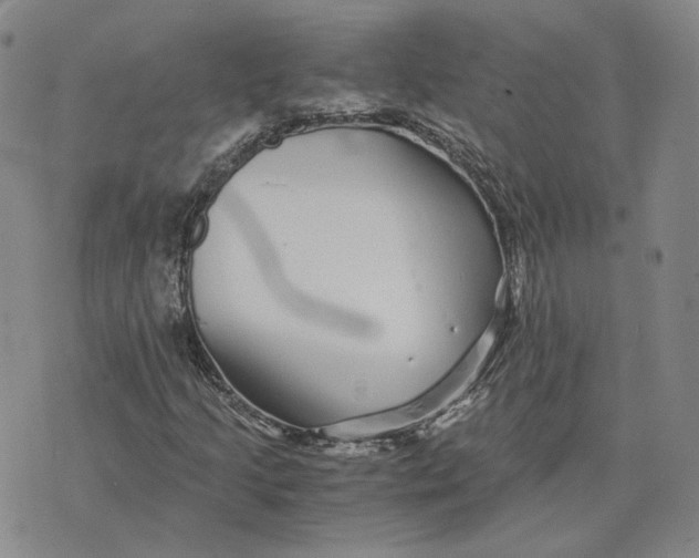 X0000076271205200610191731