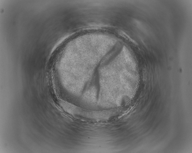 X0000076271208200610191731