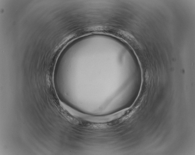 X0000076271209200610191731