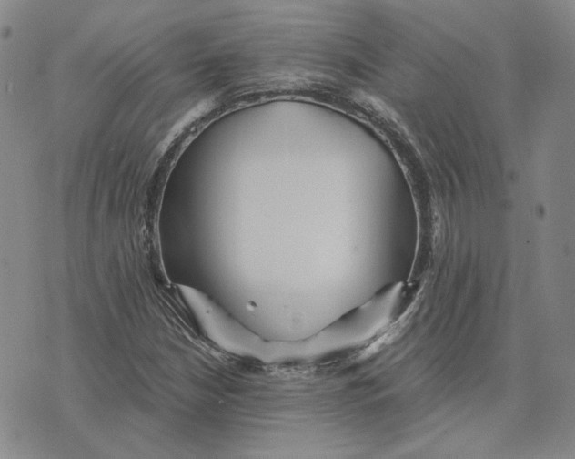 X0000076271210200610191731