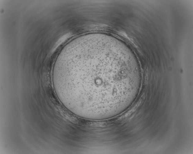 X0000076271211200610191731