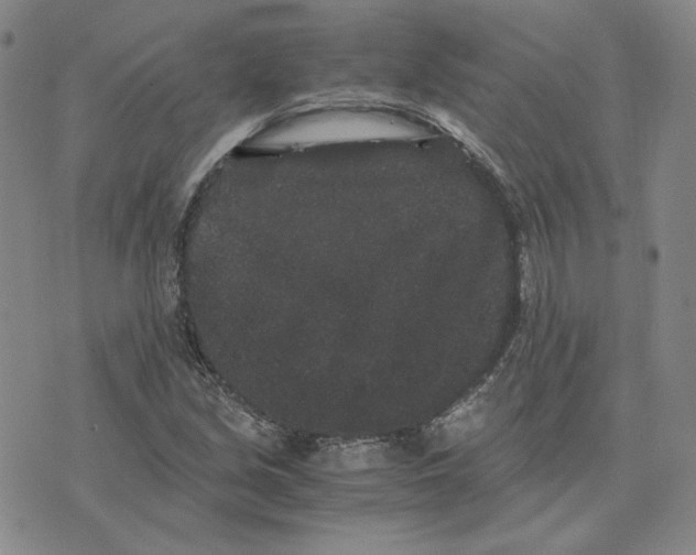 X0000076271213200610191731