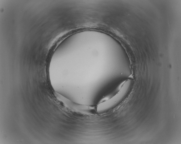 X0000076271214200610191731