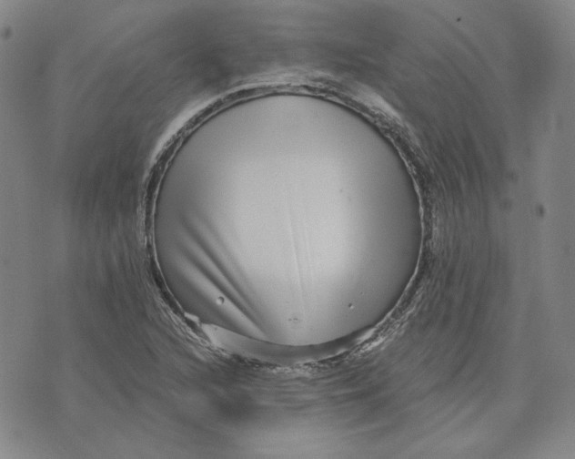 X0000076271216200610191731