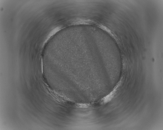 X0000076271219200610191731