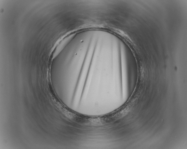 X0000076271220200610191731