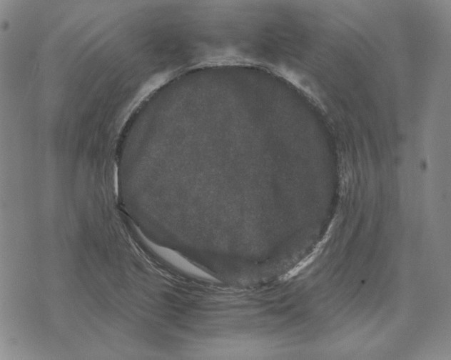 X0000076271221200610191731