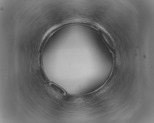 X0000076271222200610191731