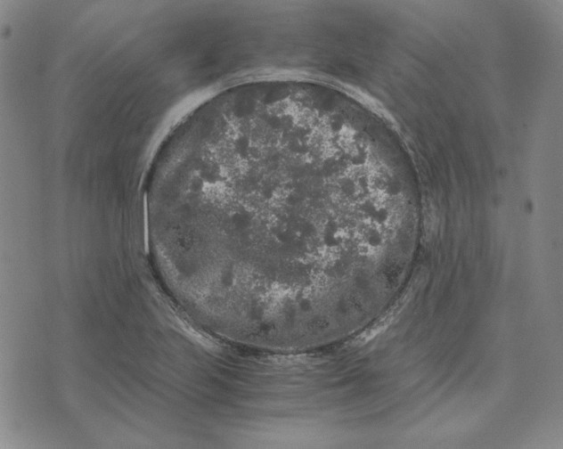 X0000076271223200610191731