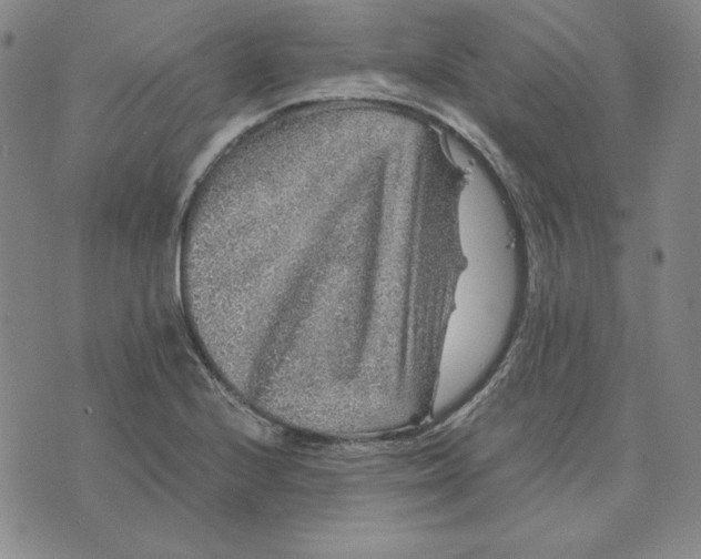 X0000076271224200610191731