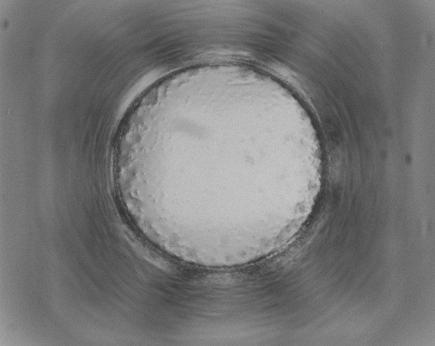 X0000076271227200610191731