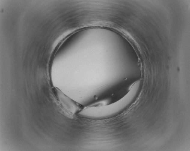 X0000076271230200610191731