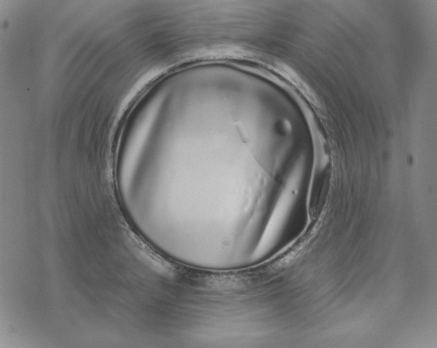 X0000076271232200610191731