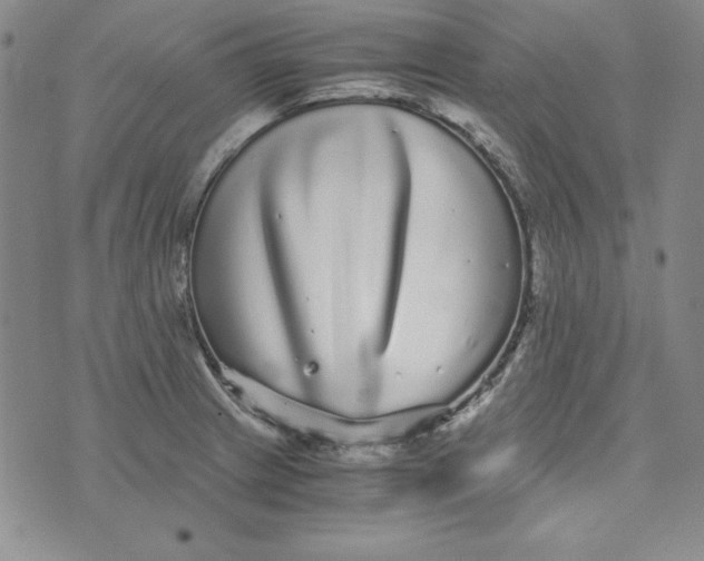 X0000076271233200610191731