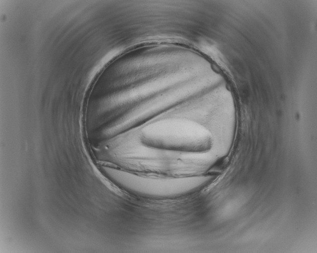 X0000076271237200610191731