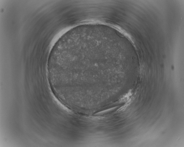 X0000076271239200610191731