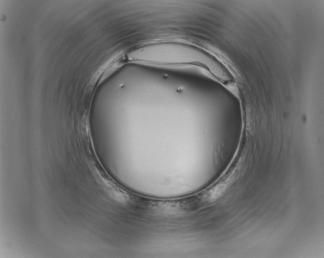 X0000076271241200610191731