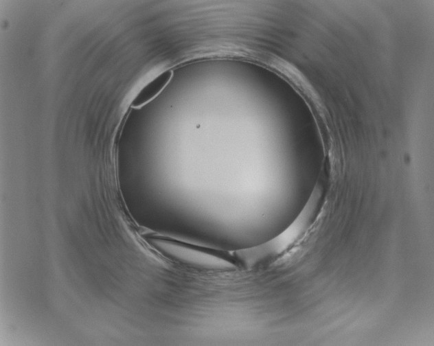 X0000076271242200610191731