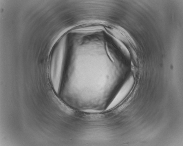 X0000076271244200610191731