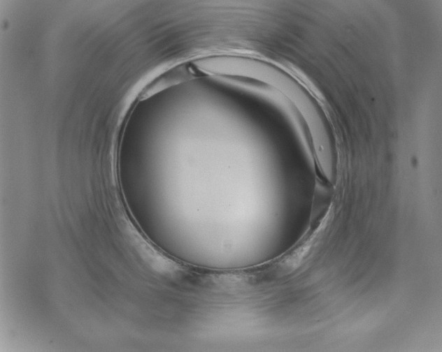 X0000076271246200610191731