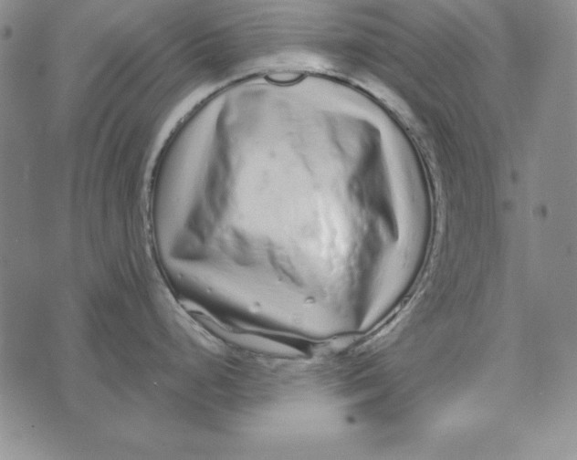 X0000076271248200610191731