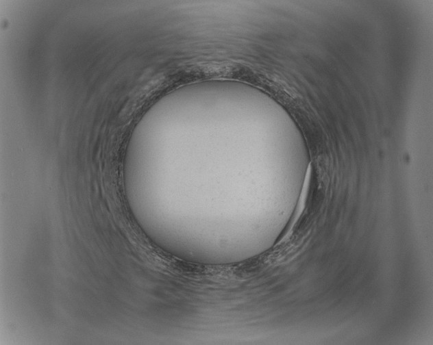 X0000076271249200610191731