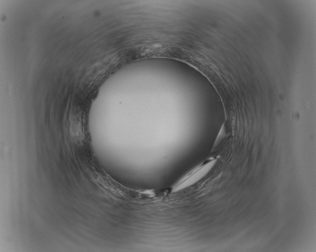 X0000076271250200610191731