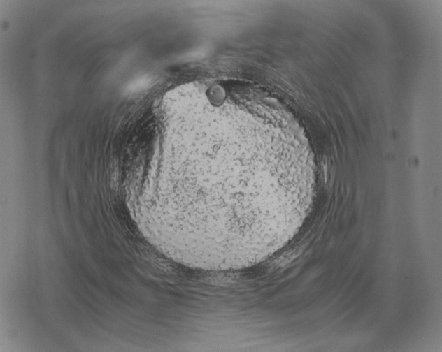 X0000076271251200610191731