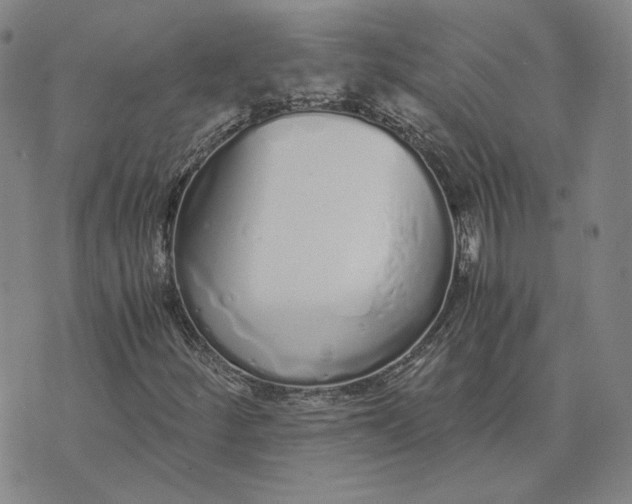 X0000076271252200610191730