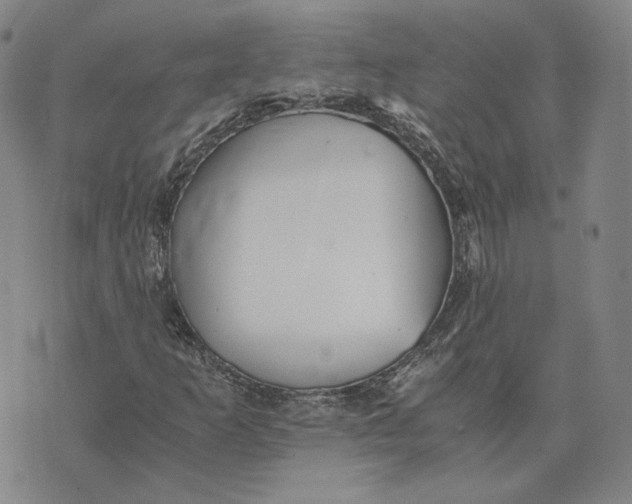 X0000076271253200610191730