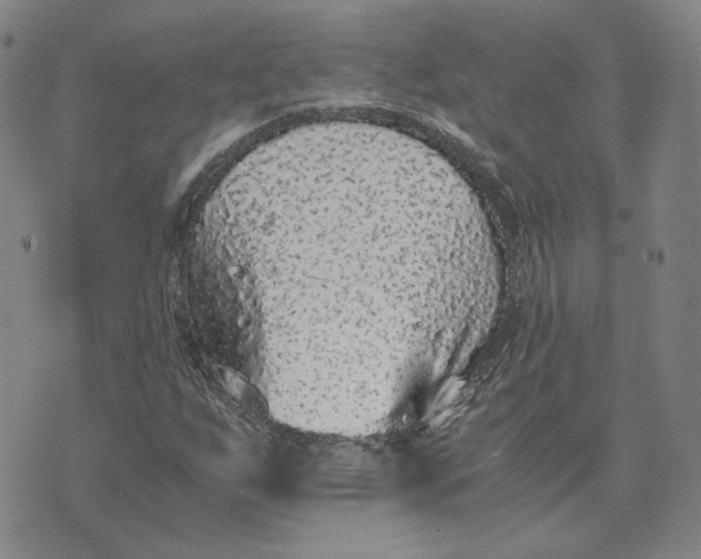 X0000076271255200610191730